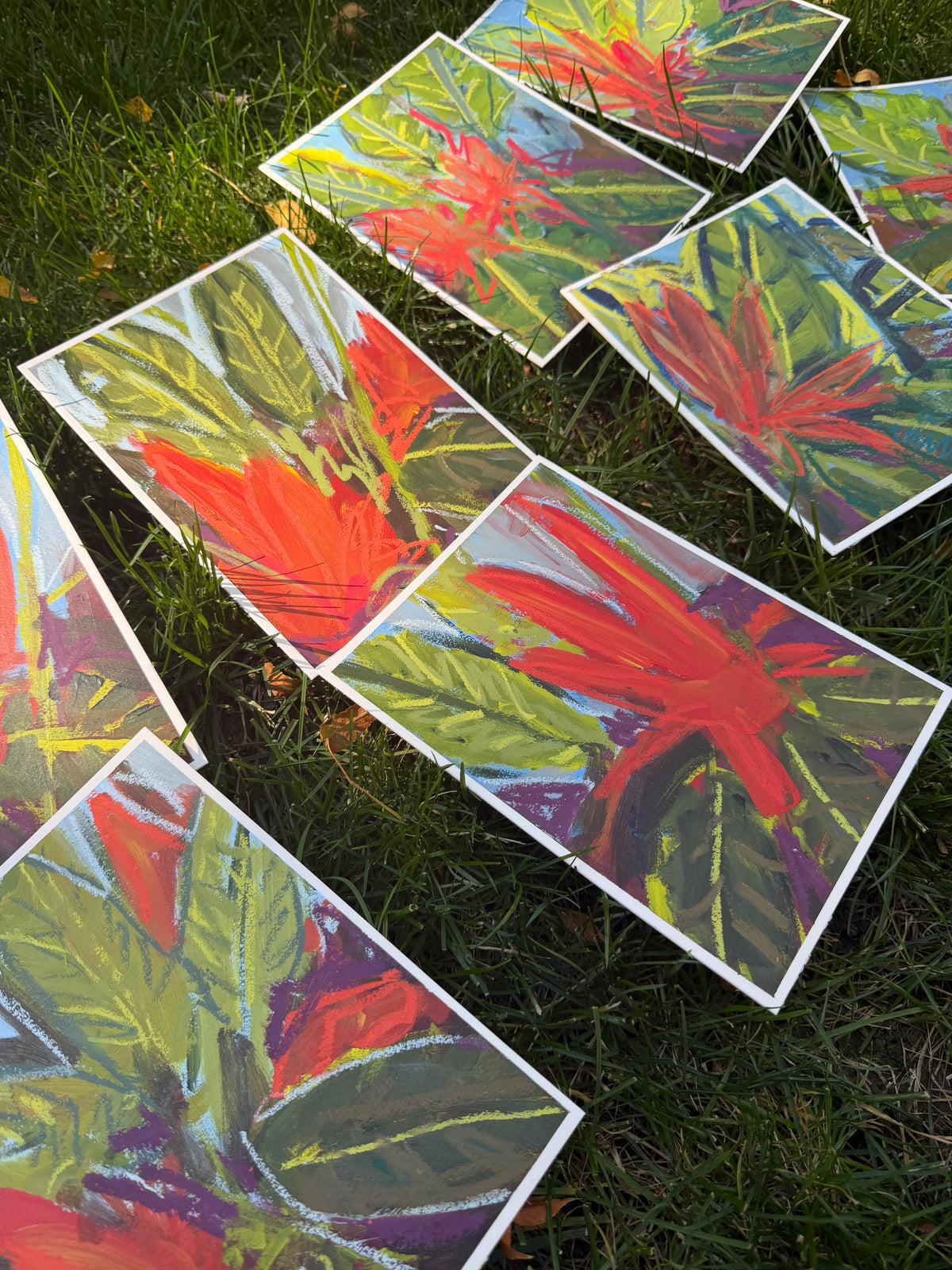 8" x 6"| Birds of Paradise (8 variations)