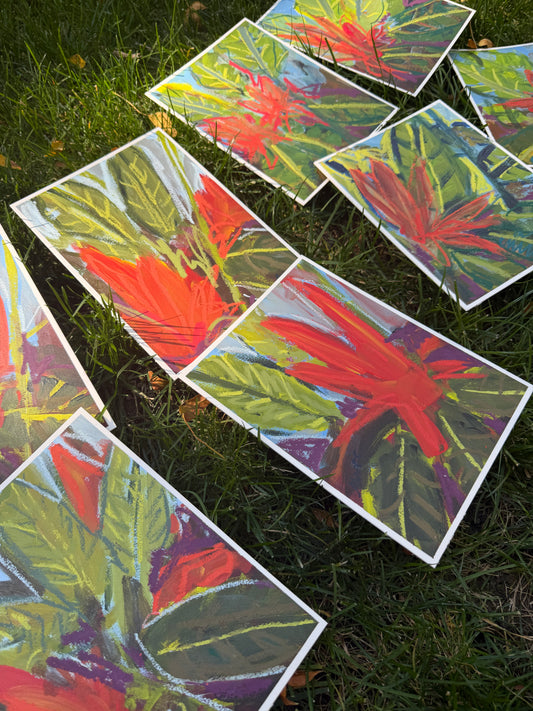 8" x 6"| Birds of Paradise (8 variations)