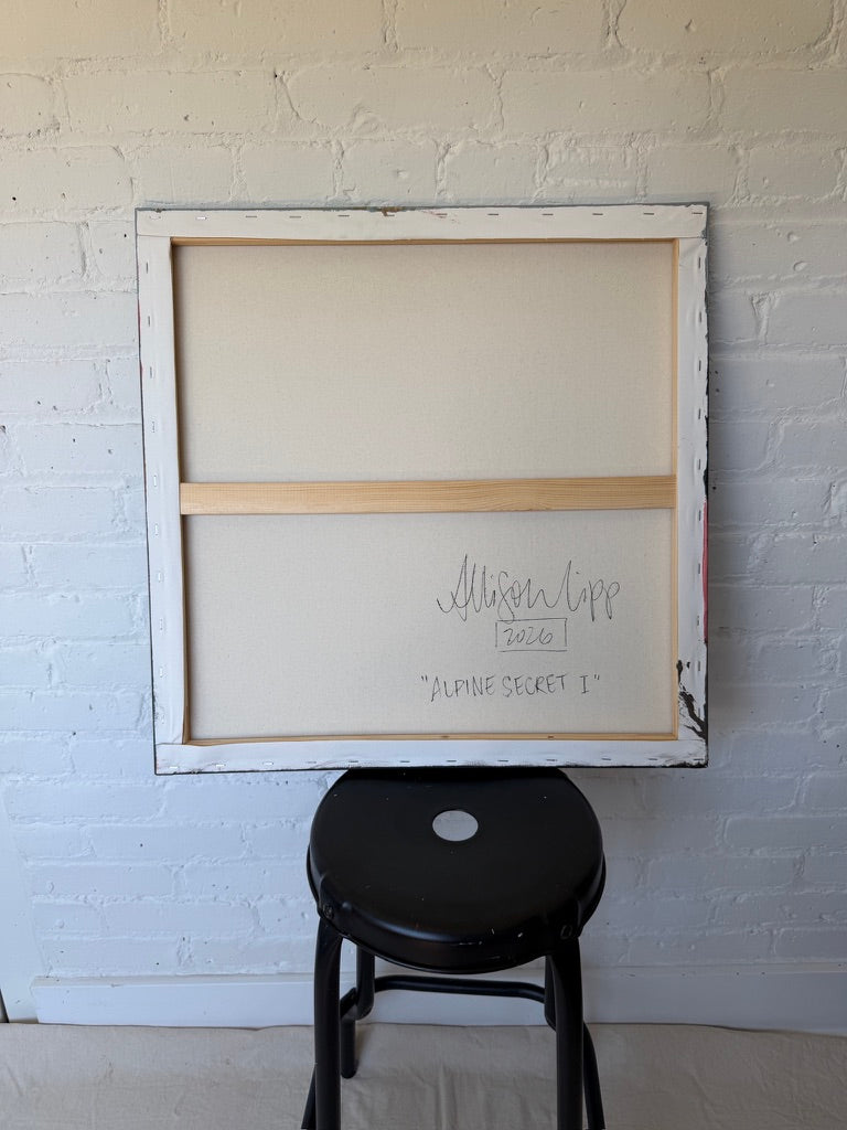 24" x 24" | Alpine secret I