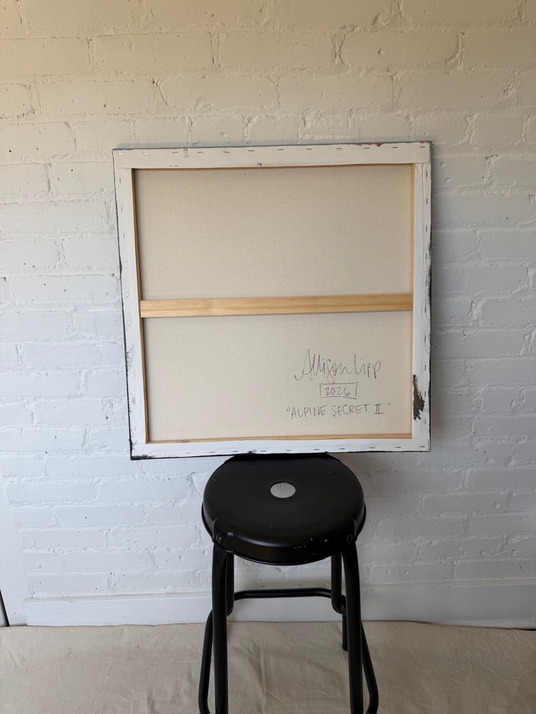 24" x 24" | Alpine secret II