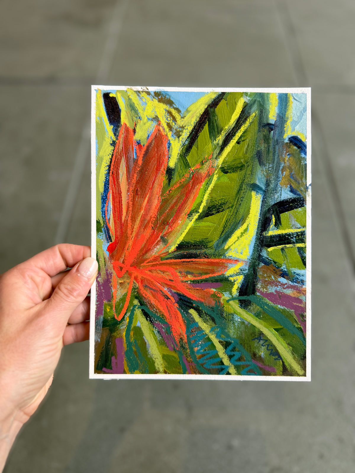 8" x 6"| Birds of Paradise (8 variations)
