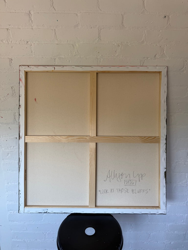 30" x 30" | Look at those bluffs
