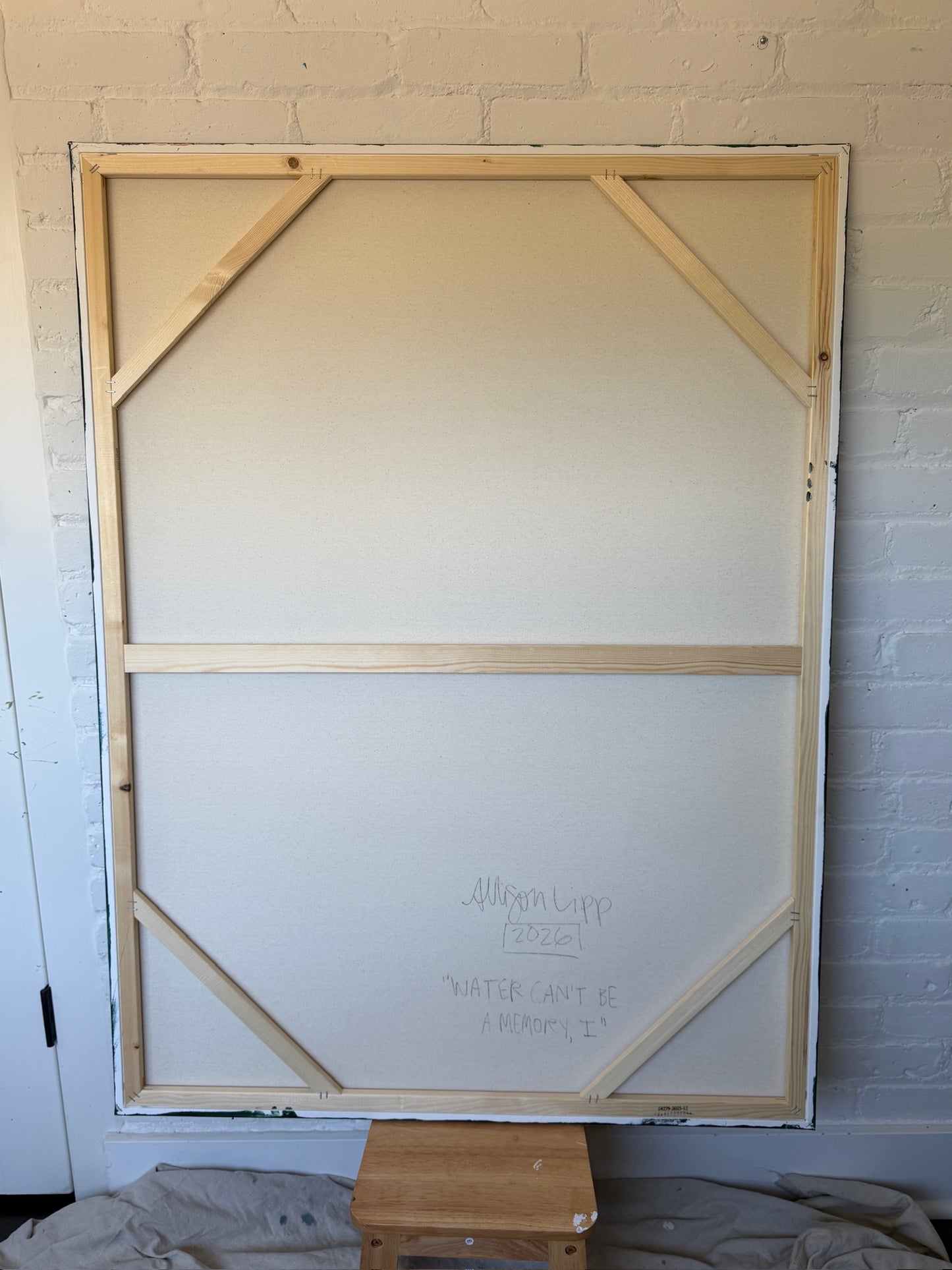 (set of 2) 48" x 36" Mixed Media on Canvas