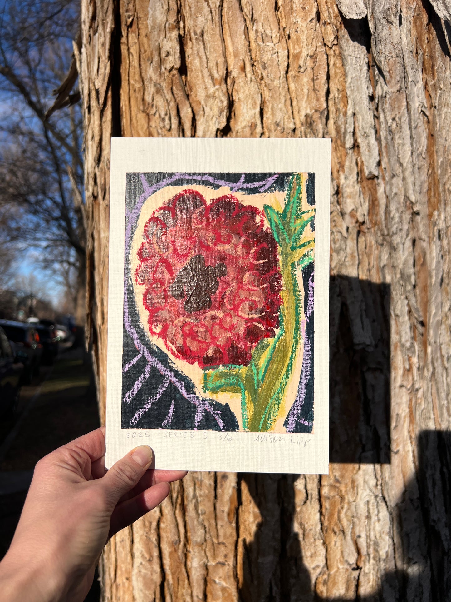 7"x5" | Series 5 | #3 of 6