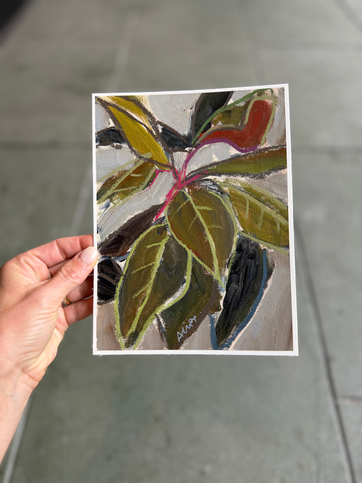 8" x 6"| Southern Magnolias (8 variations)